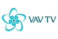 VAV TV Kanalı, D-Smart